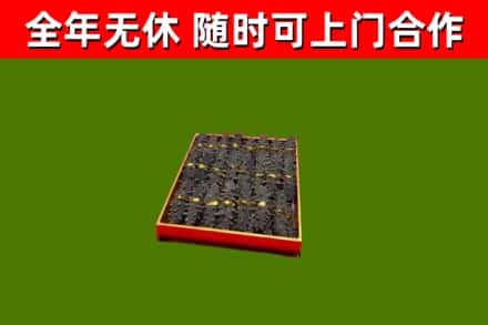 东阳市回收海参